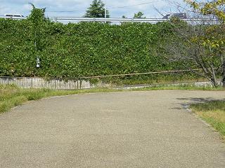 l01014s.jpg 800x600 278KB 