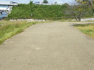 l03019s.jpg 800x600 274KB 