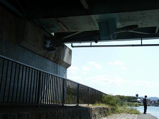 10135s.jpg 800x600 109KB 