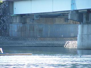 11159s.jpg 800x600 144KB 