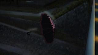 10110.jpg 512x288 20KB 