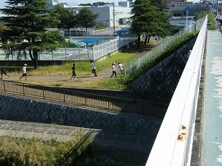 10110s.jpg 800x600 223KB 