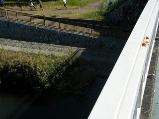 10111s.jpg 800x600 156KB 