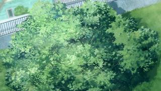 11038.jpg 512x288 62KB 