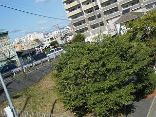 11038s.jpg 800x600 293KB 