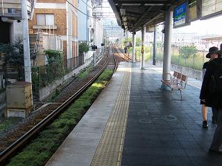 01033s.jpg 800x600 215KB 