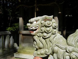 05067s.jpg 800x600 185KB 