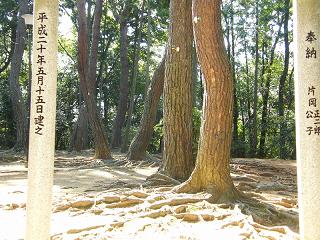 05070s.jpg 800x600 280KB 