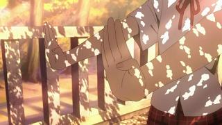 05072.jpg 512x288 48KB 