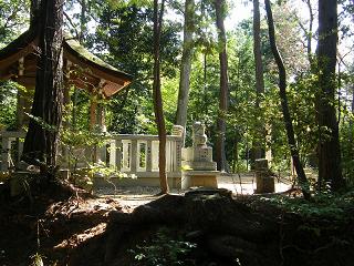 05076s.jpg 800x600 275KB 