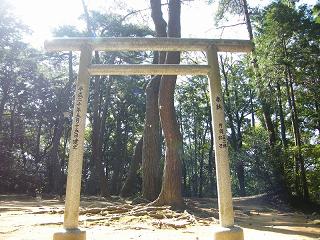 05079s.jpg 800x600 267KB 