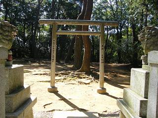 05089s.jpg 800x600 266KB 