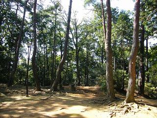 09074s.jpg 800x600 323KB 