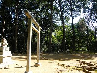 09077s.jpg 800x600 291KB 