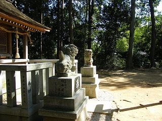 09088s.jpg 800x600 251KB 