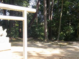 09089s.jpg 800x600 224KB 