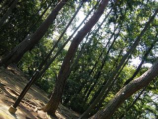 09092s.jpg 800x600 315KB 