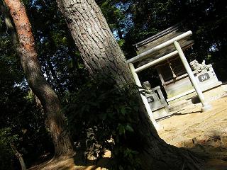 09093s.jpg 800x600 238KB 