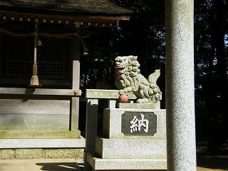 09100s.jpg 800x600 181KB 