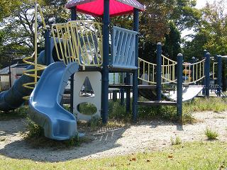 00003s.jpg 800x600 276KB 