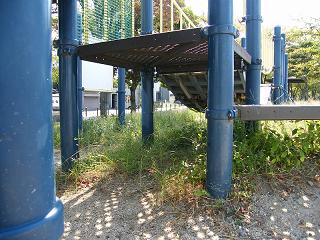 02014s.jpg 800x600 239KB 