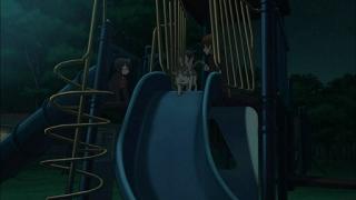 02144.jpg 512x288 25KB 