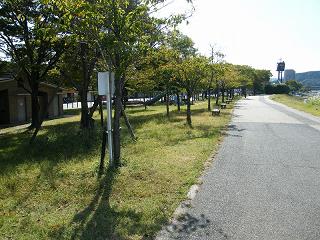 02145s.jpg 800x600 265KB 