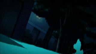 02159.jpg 512x288 17KB 