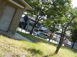 02159s.jpg 800x600 305KB 