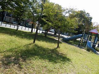 02164s.jpg 800x600 308KB 