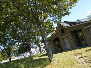 02170s.jpg 800x600 298KB 