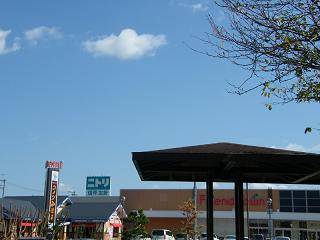 l01017s.jpg 800x600 122KB 