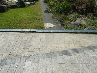 l01021s.jpg 800x600 280KB 