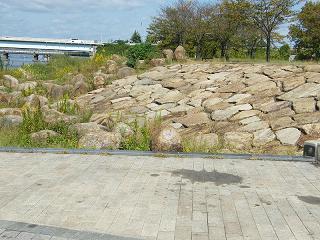 l01037s.jpg 800x600 251KB 