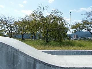 02125s.jpg 800x600 216KB 