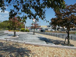 11181s.jpg 800x600 285KB 