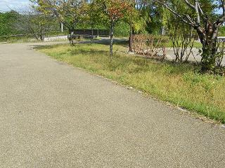 l03008s.jpg 800x600 302KB 