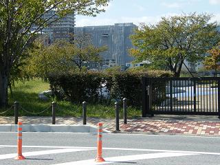 11012s.jpg 800x600 252KB 