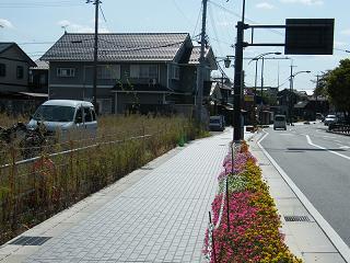 12094s.jpg 800x600 210KB 