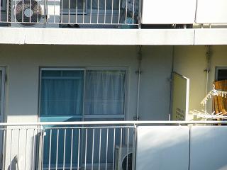 01011s.jpg 800x600 143KB 