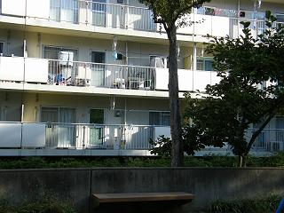 01012s.jpg 800x600 181KB 