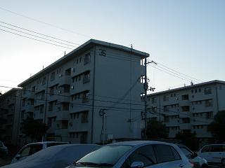 01222s.jpg 800x600 94KB 