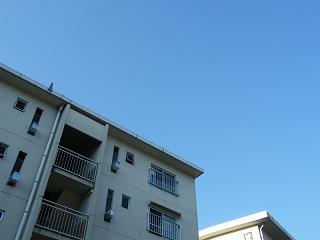 01229s.jpg 800x600 79KB 