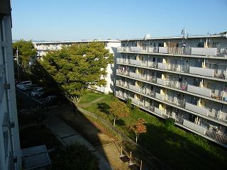 01230s.jpg 800x600 178KB 