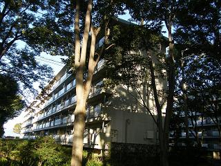 02101s.jpg 800x600 288KB 