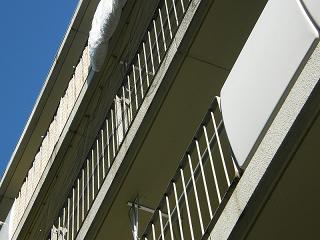 02113s.jpg 800x600 158KB 