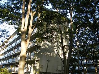 02175s.jpg 800x600 294KB 