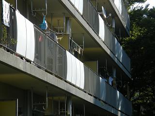 04079s.jpg 800x600 156KB 