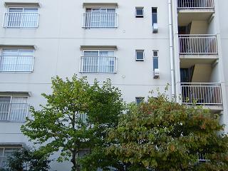 06282s.jpg 800x600 195KB 