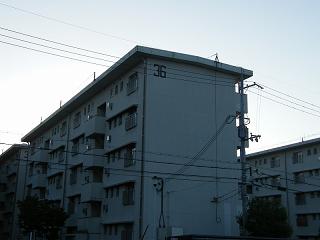 08107s.jpg 800x600 94KB 